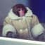Ikea Monkey