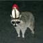 RACCOON