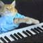 Keyboard Cat
