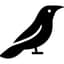 Crow