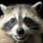VeryFatRaccoon