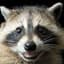 VeryFatRaccoon