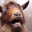 The Goat Is Running 