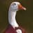 Goose