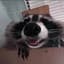 racoonusgoobus