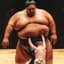 Sumo Wrestler Sweeta