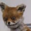 FoxyTheToxic