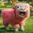 Pink Sheep