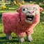 Pink Sheep