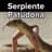 Serpiente Patudona