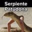 Serpiente Patudona