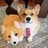 Korgi Fans
