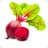 Beet