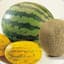 melon