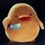 SlightlyAngryDuck