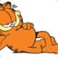 Garfieldtjuh