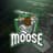 Moose