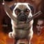 ThePug.DaddyAF