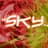 Sky022
