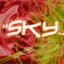 Sky022
