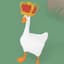 Silly goose