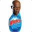 Mace Windex