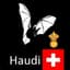 Haudi
