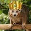 KingKendrickLemur