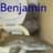 Benchamin