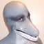 DolphinBoy