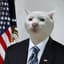 President Eisenmeower
