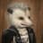 Awesome opossum