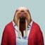 walrusman