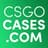 Theoooo CS2-CASES.COM