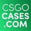 Theoooo CS2-CASES.COM