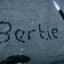 bertiebigbollox
