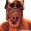 ALF