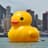 Big Duck Energy