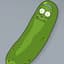picklerick420