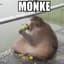 M O N K E