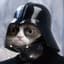 Darth Cat