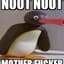 NOOT NOOT