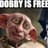 DOBBY