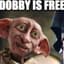 DOBBY