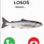 Losos