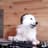 DJ Dog