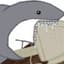 Shark