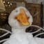 The Silliest Goose