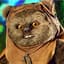 EwokOil