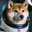 Commander Bork
